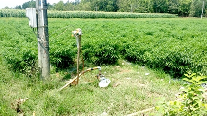 Từ “thoát lũ” sang “trữ ngọt”