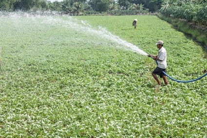 Hành động ngay vì một ĐBSCL trù phú