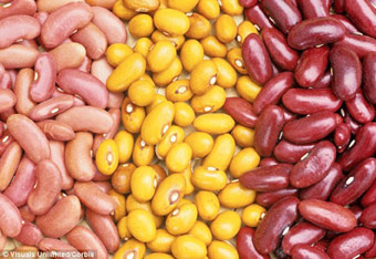 Ăn đậu giúp giảm cân bền vững