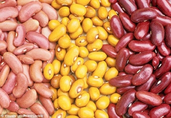 Ăn đậu giúp giảm cân bền vững