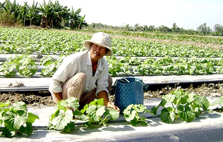 Cần chọn cây trồng thích ứng biến đổi khí hậu