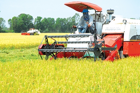 NÂNG TẦM 
NÔNG NGHIỆP