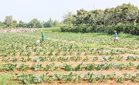 Đẩy mạnh công tác thủy lợi chống hạn