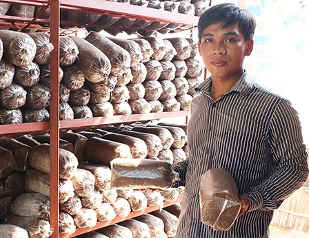 Nguyễn Văn Đức  làm giàu 
từ mô hình trồng nấm bào ngư