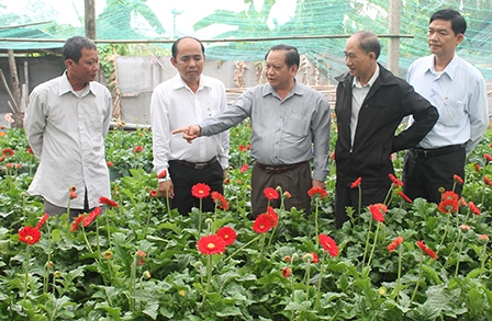 Lựa chọn mô hình nông nghiệp bền vững