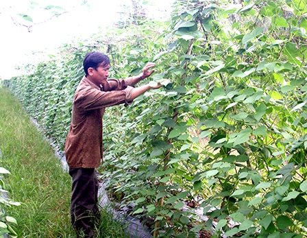 Đồng khởi khởi nghiệp