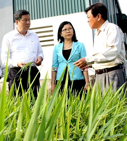 XÂY DỰNG “TAM NÔNG” BỀN VỮNG