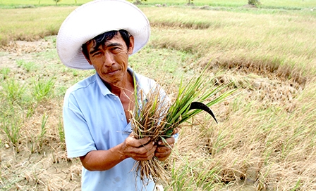 Cần tiếng nói chung