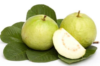 Những công dụng tuyệt vời của ổi và lá ổi