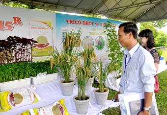 Nông nghiệp hữu cơ sinh học - 
giải pháp phát triển bền vững