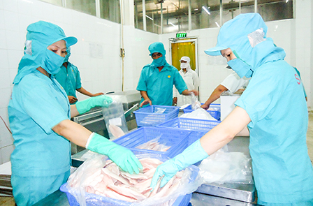 Tiếp tục đa dạng
hàng hóa xuất khẩu để tạo đột phá