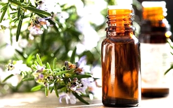 Những lợi ích sức khỏe từ cây hương thảo