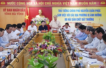 Thủ tướng chỉ đạo giải quyết sự cố hải sản chết bất thường