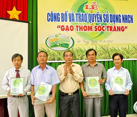 CHỈ THIẾU DOANH NGHIỆP VÀ CHÍNH SÁCH