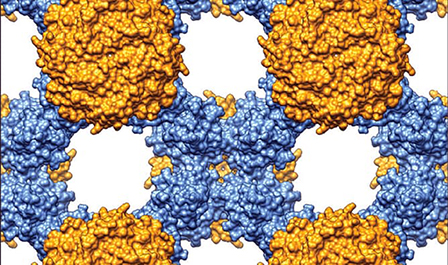Phát triển vật liệu mới cho áo chống đạn