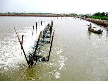 Vỡ “giấc mộng vàng”!