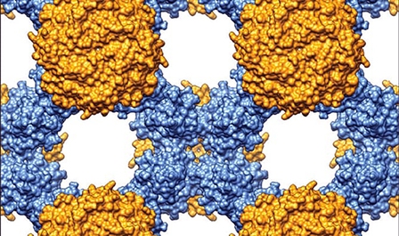 Phát triển vật liệu mới cho áo chống đạn