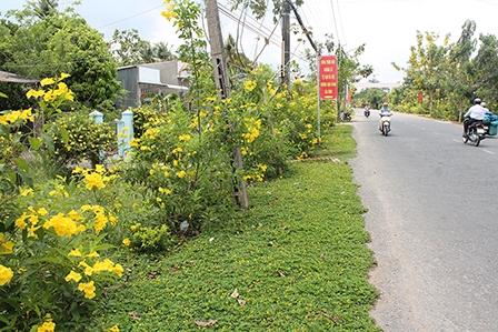 Nỗ lực nâng tầm đô thị Phong Điền