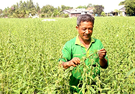 Chuyển đổi cây trồng, vật nuôi 
để thích ứng với biến đổi khí hậu