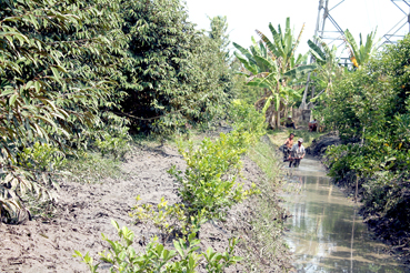 Tập trung thực hiện đồng bộ các
giải pháp thúc đẩy phát triển kinh tế
