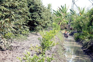 Tập trung thực hiện đồng bộ các 
giải pháp thúc đẩy phát triển kinh tế