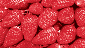 Màng tơ giúp trái cây tươi lâu hơn