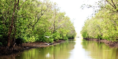 Đất Mũi giờ dễ đi