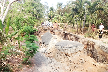 Báo động tình trạng sụt lún đất nghiêm trọng ở Cà Mau
