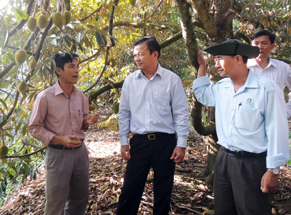“Điểm son” nông thôn mới của đất Tây Đô