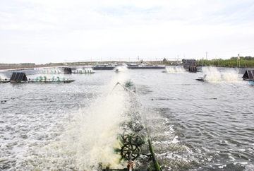 Khó khăn, thiệt thòi không nhỏ!