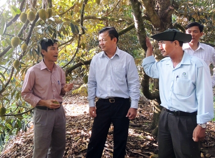 “Điểm son” nông thôn mới của đất Tây Đô