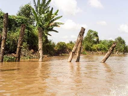 ĐBSCL sẽ ra sao khi phù sa không về?