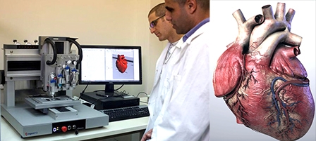 Ảnh tim 3D giúp chẩn đoán nguy cơ đột tử