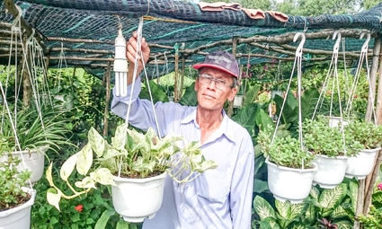 Đưa thiên nhiên vào không gian sống