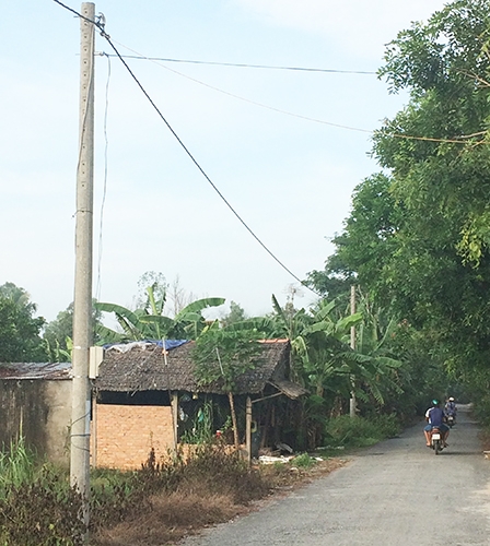 Người dân tuyến lộ
hậu Tân Phú đã được
đầu tư lưới điện quốc gia