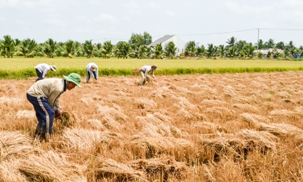 Tìm giải pháp thích ứng!