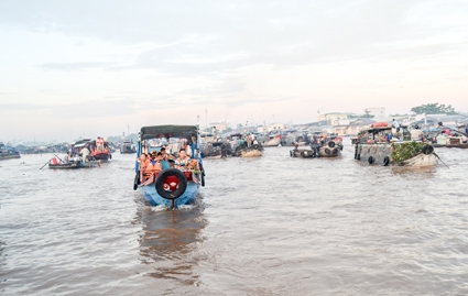 Nâng cao chất lượng môi trường sống vùng ĐBSCL !