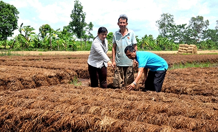 TĂNG CƯỜNG SỰ LÃNH ĐẠO CỦA ĐẢNG ĐỐI VỚI HOẠT ĐỘNG CỦA MẶT TRẬN TỔ QUỐC VÀ CÁC ĐOÀN THỂ