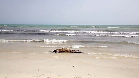 Libya vớt được 117 thi thể trôi dạt vào bờ biển