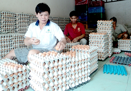 Chia sẻ lợi nhuận, rủi ro!