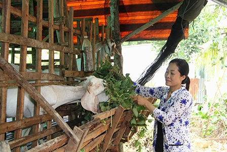 ĐƯA NGÀNH CHĂN NUÔI ĐBSCL 
VỀ ĐÚNG VỊ THẾ