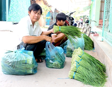 TÍCH CỰC HỖ TRỢ NÔNG DÂN, DOANH NGHIỆP HỘI NHẬP VÀ PHÁT TRIỂN