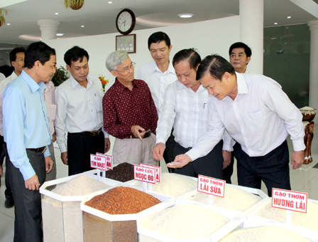 TẬP TRUNG MỌI NGUỒN LỰC THÚC ĐẨY KINH TẾ XÃ HỘI