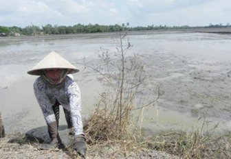 ប្រឹងឃ្មាតខ្មីដើម្បីចាកផុតពីភាពក្រីក្រ