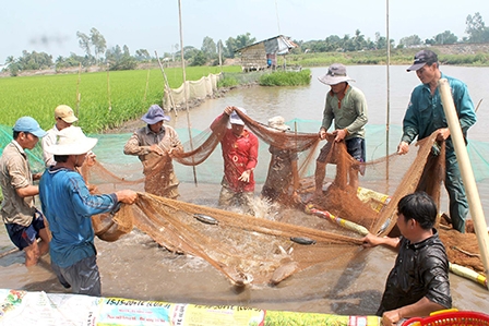 CHUẨN BỊ TỐT CHO TỔNG ĐIỀU TRA NÔNG THÔN, 
NÔNG NGHIỆP VÀ THỦY SẢN NĂM 2016