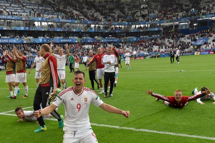 Thú vị với những “chú ngựa về ngược”