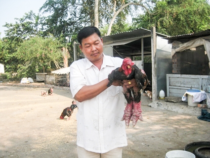 Hiệu quả từ những mô hình 
kinh tế ở Bình Thủy