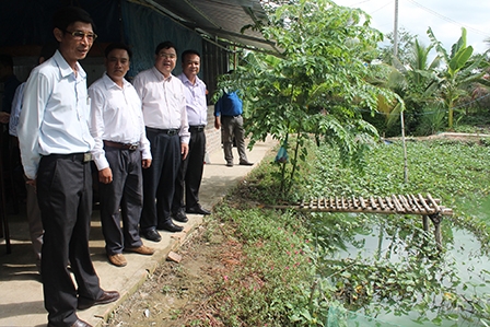 Khảo sát mô hình phát triển kinh tế trên địa bàn huyện Thới Lai