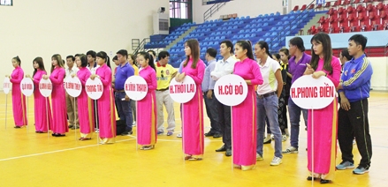 Đại biểu đông hơn VĐV dự giải