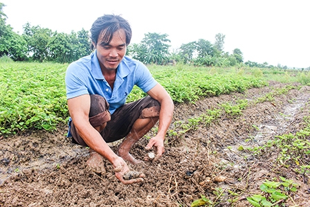 THI CÔNG PHẢI ĐẢM BẢO CHO SẢN XUẤT NÔNG NGHIỆP